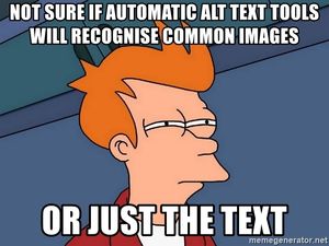 The Futurama Fry meme, in which Fry squints suspiciously into the distance. The text says "Not sure if automatic alt text tools will recognise common images or just the text".
